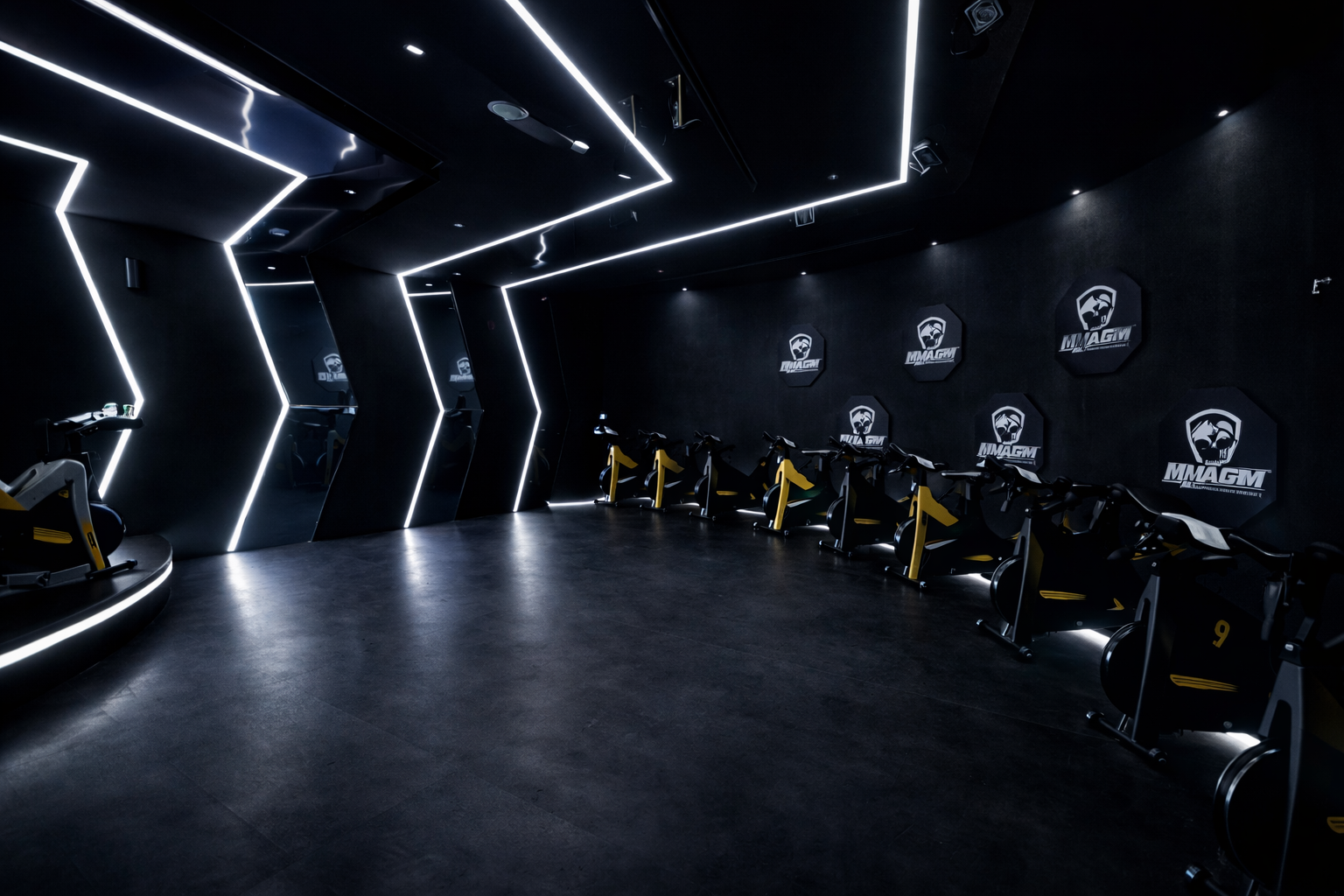 Khabib Gym West Yas Abu Dhabi — commercial interior design by MSE